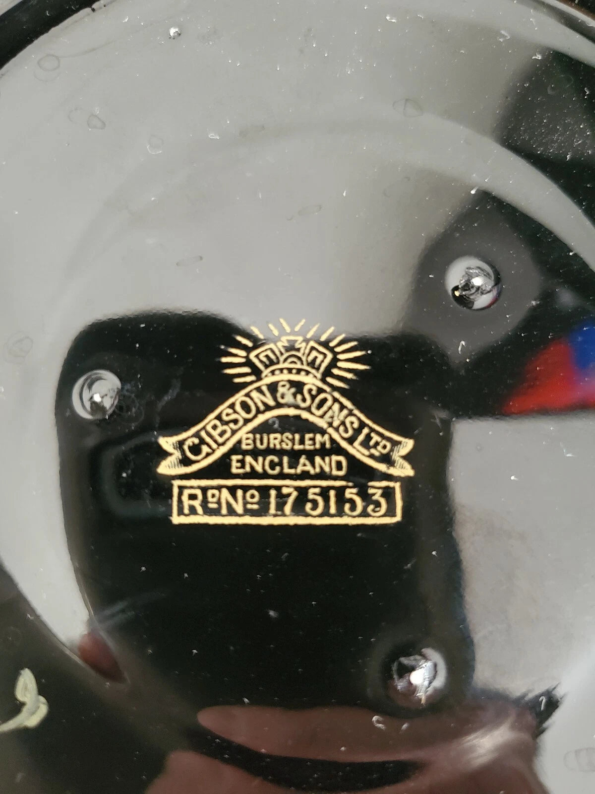 Antique Gibson & Son Burem England Enameled  Hand Painted  Teapot Cup Saucer Set