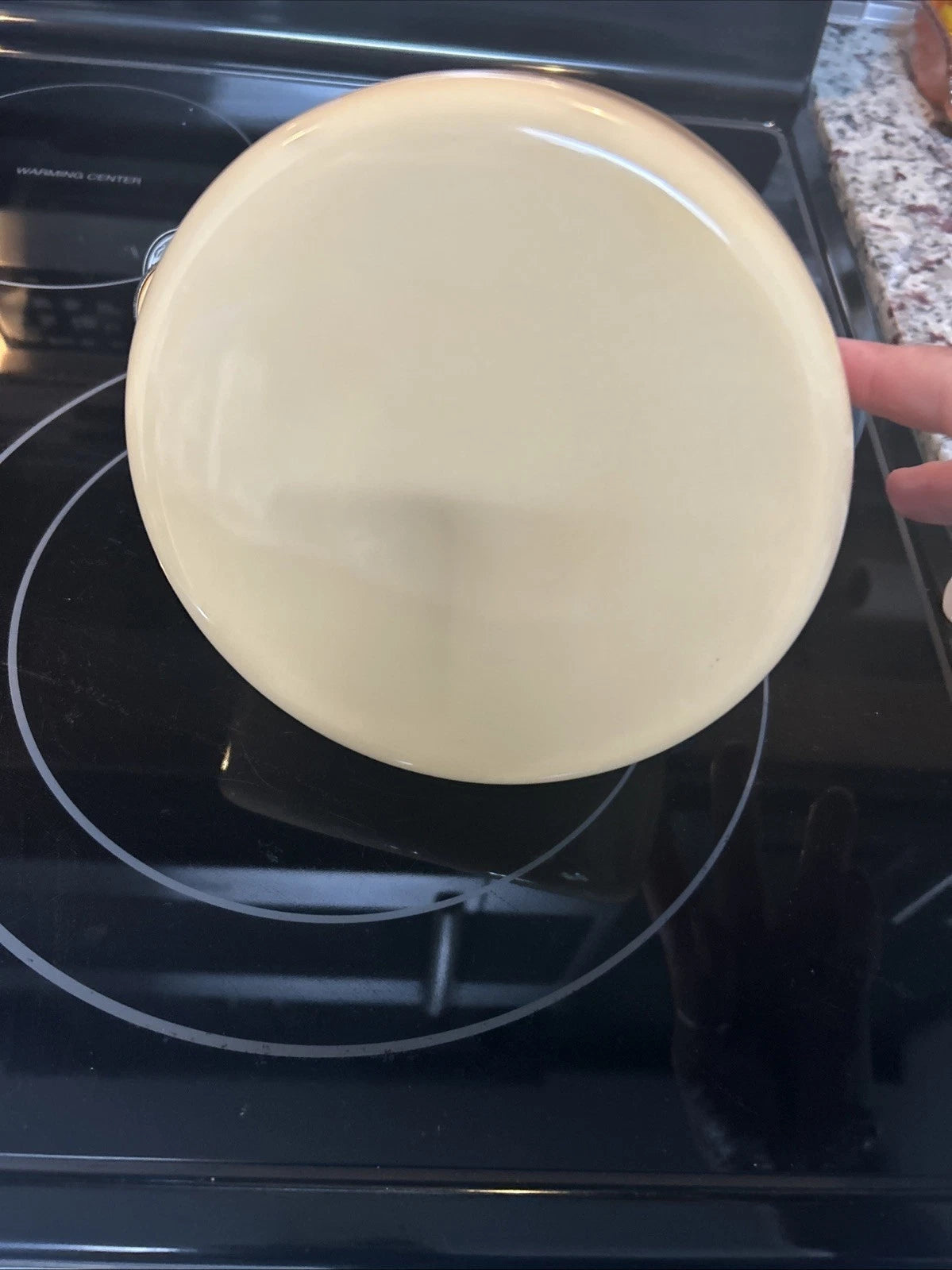 CHANTAL Whistling Tea Kettle Enamel Stainless Loop Handle Rare 1.6 Qt