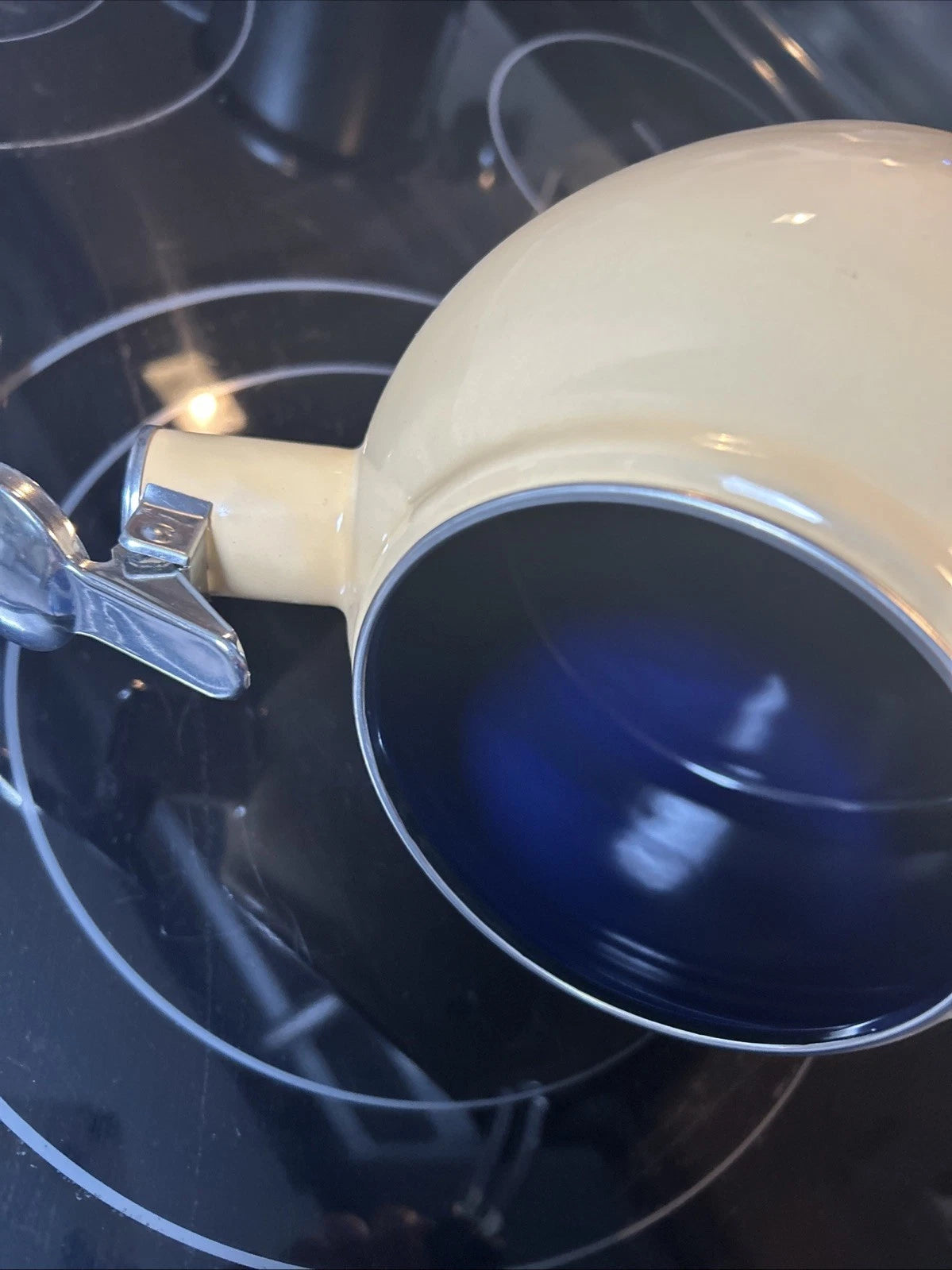 CHANTAL Whistling Tea Kettle Enamel Stainless Loop Handle Rare 1.6 Qt