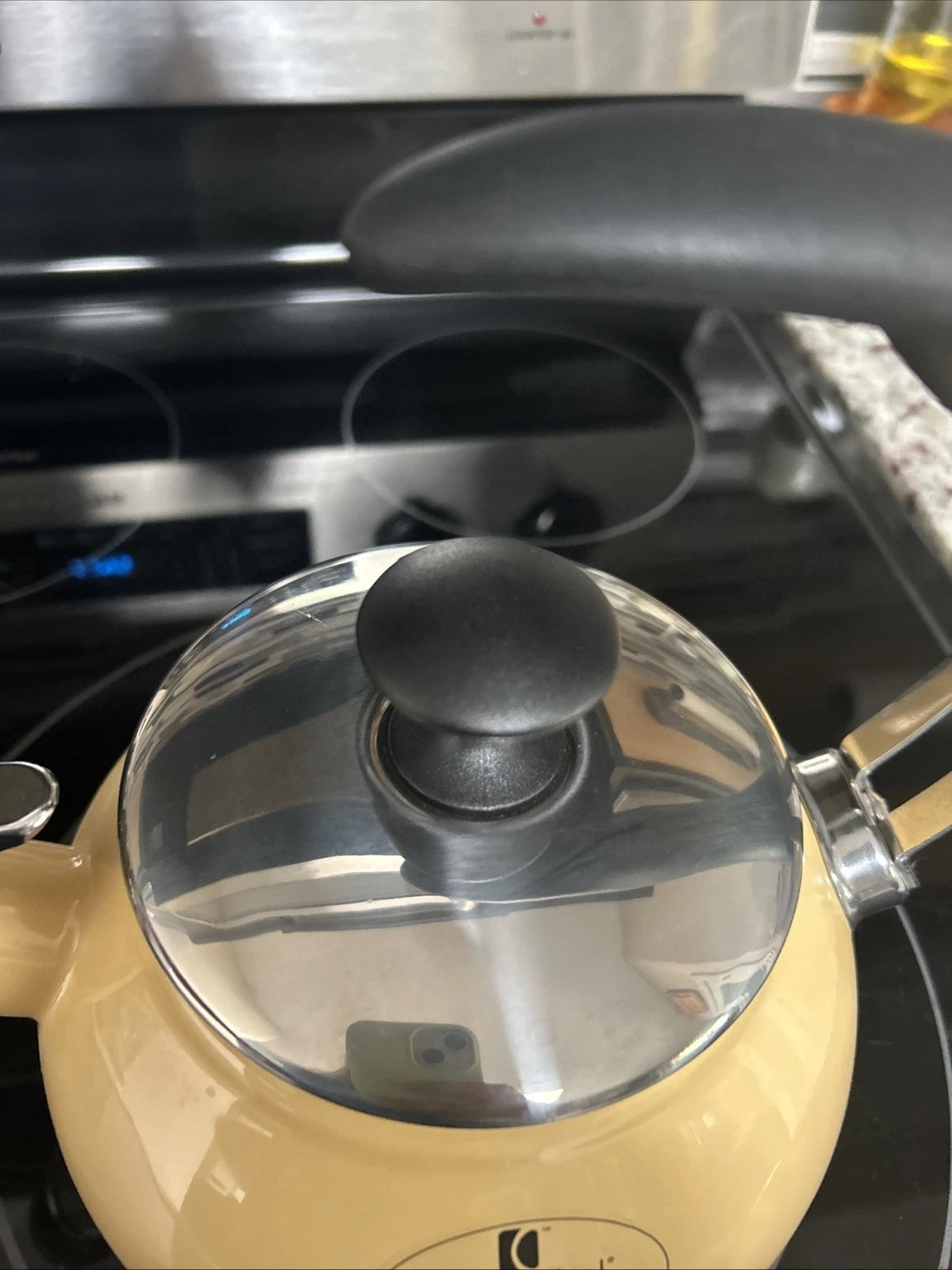 CHANTAL Whistling Tea Kettle Enamel Stainless Loop Handle Rare 1.6 Qt