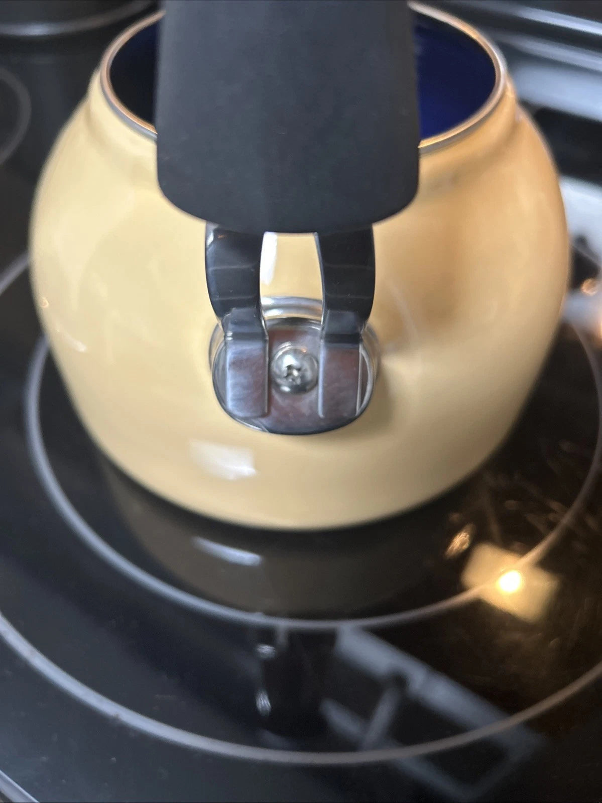 CHANTAL Whistling Tea Kettle Enamel Stainless Loop Handle Rare 1.6 Qt