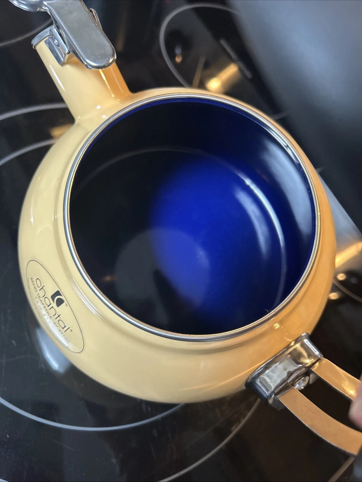 CHANTAL Whistling Tea Kettle Enamel Stainless Loop Handle Rare 1.6 Qt