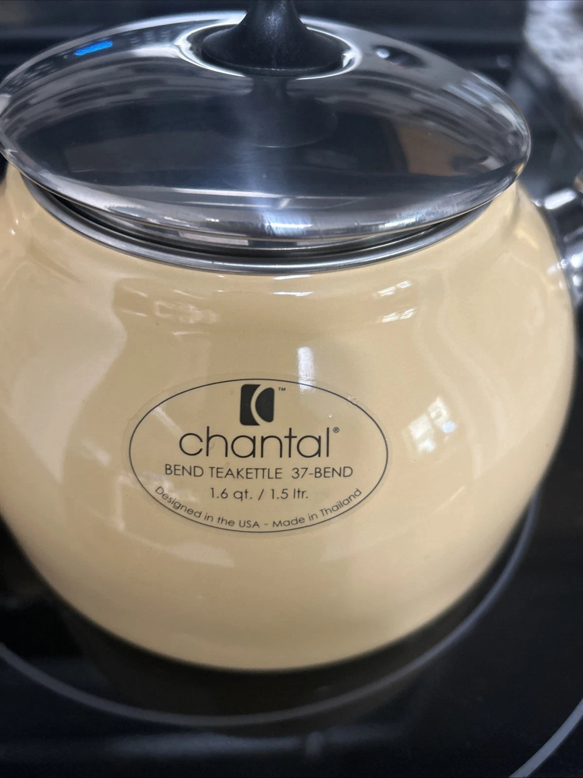 CHANTAL Whistling Tea Kettle Enamel Stainless Loop Handle Rare 1.6 Qt