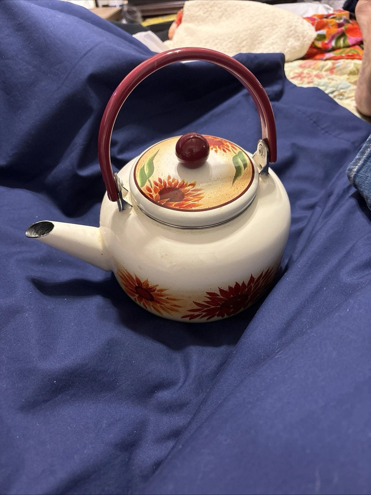 Vintage Enamel 8 Cup Teapot Kettle W/Flower Pattern