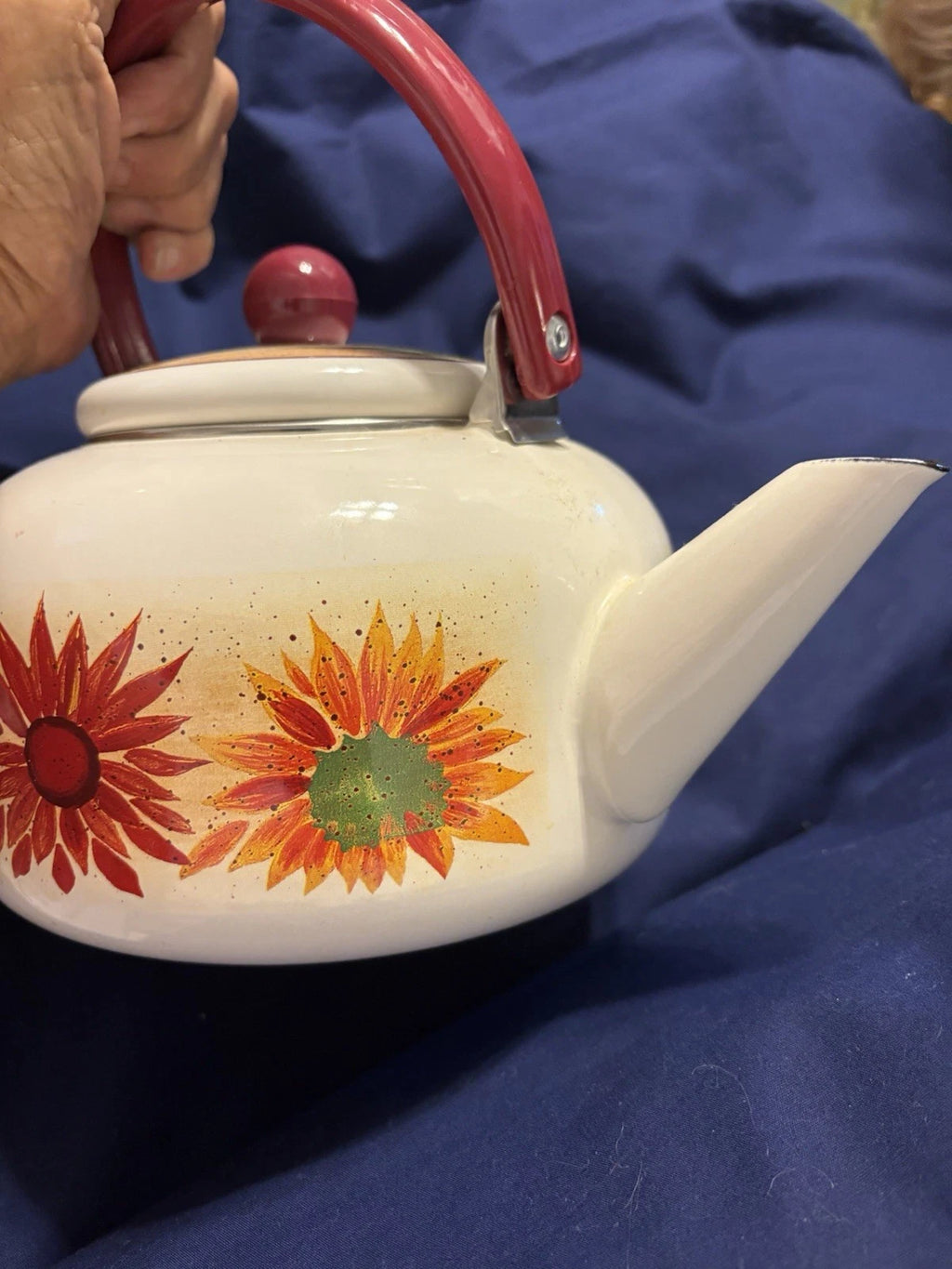 Vintage Enamel 8 Cup Teapot Kettle W/Flower Pattern