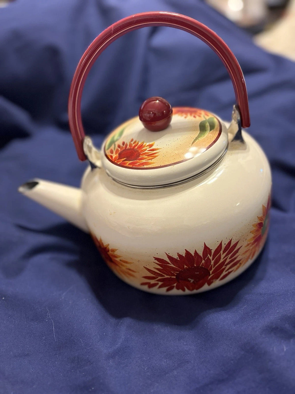 Vintage Enamel 8 Cup Teapot Kettle W/Flower Pattern