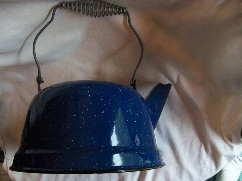 Vtg Blue White Speckled Enamelware Teapot kettle, wire wrap handle, from auction