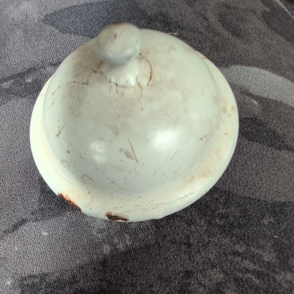 Vintage Enamel/Graniteware Gooseneck White Coffee/Tea Pot Pitcher with Lid 3"