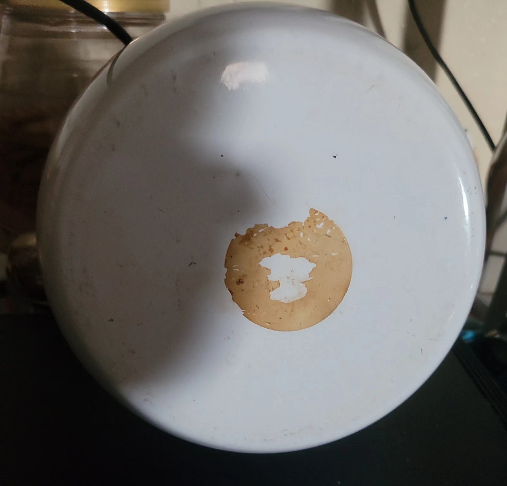 VTG 80s COPCO Cat TEA KETTLE White Enamel on Steel  2.5 Quart Tea Pot