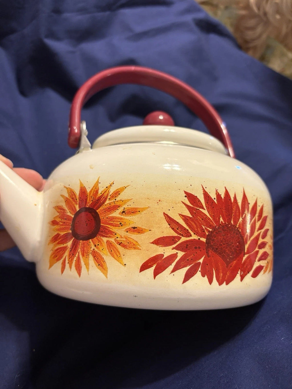 Vintage Enamel 8 Cup Teapot Kettle W/Flower Pattern
