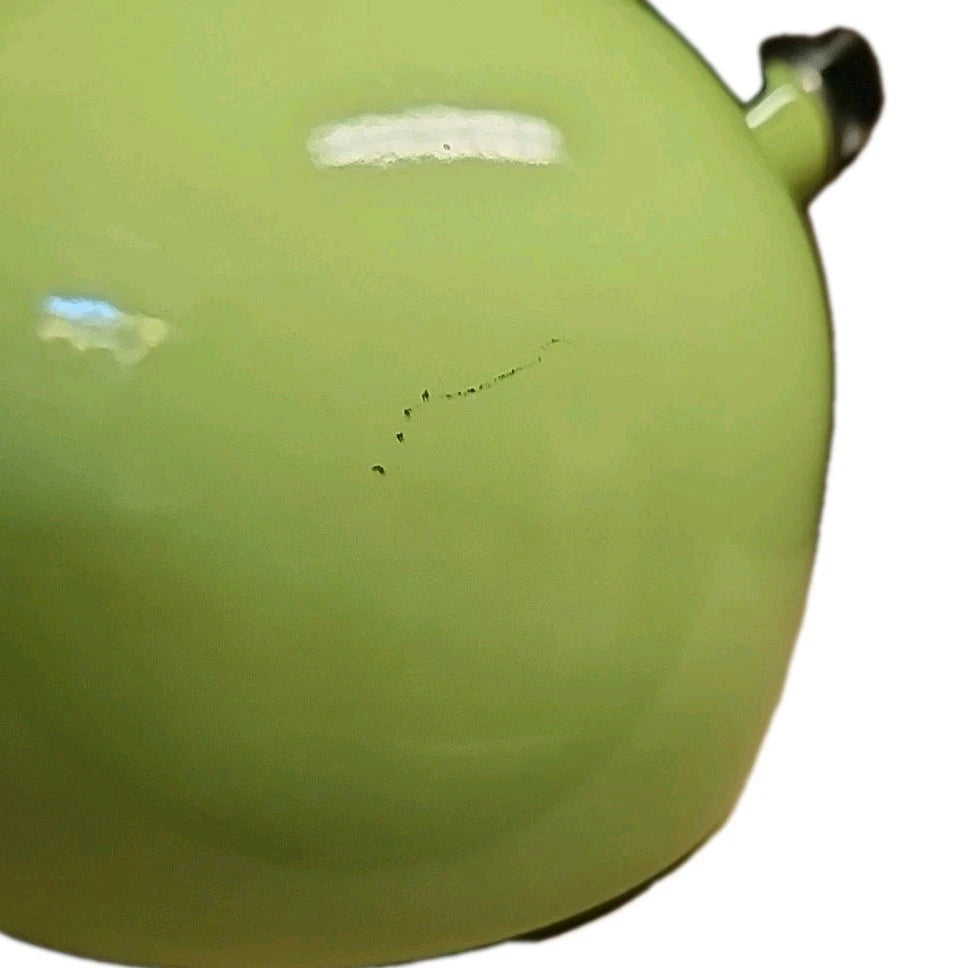 Vintage Copco Whistling Tea Kettle Pot Light Green Enamel