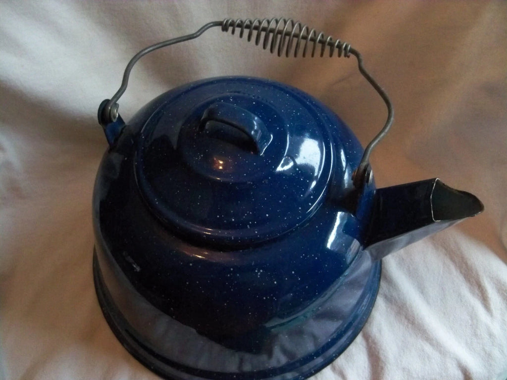 Vtg Blue White Speckled Enamelware Teapot kettle, wire wrap handle, from auction