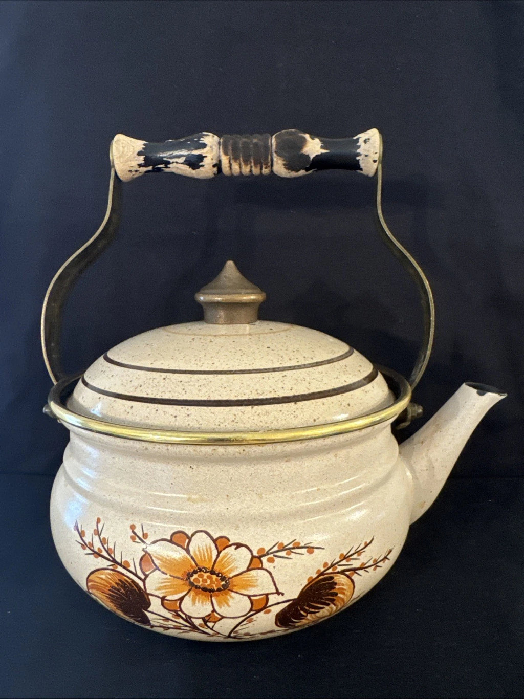 Vtg 80s ASTA Enamelware Tea Kettle Teapot Floral w/ Wood Brass Handle Germany