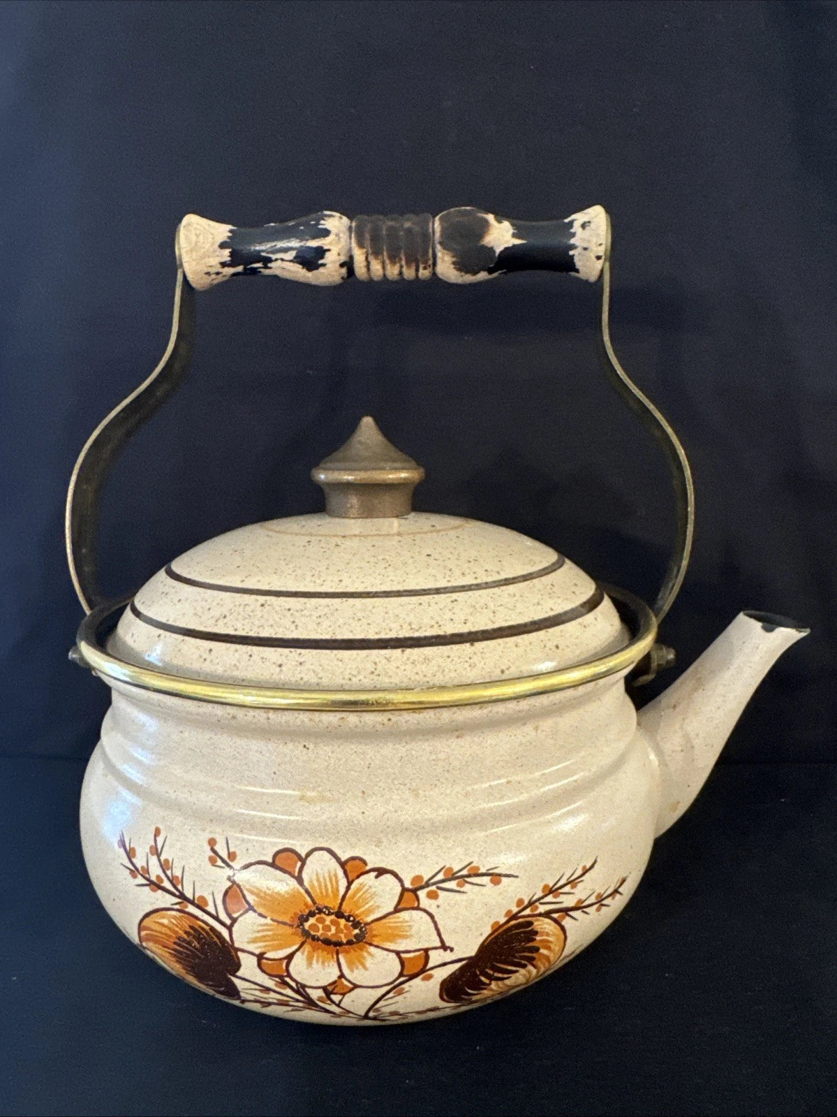 Vtg 80s ASTA Enamelware Tea Kettle Teapot Floral w/ Wood Brass Handle Germany