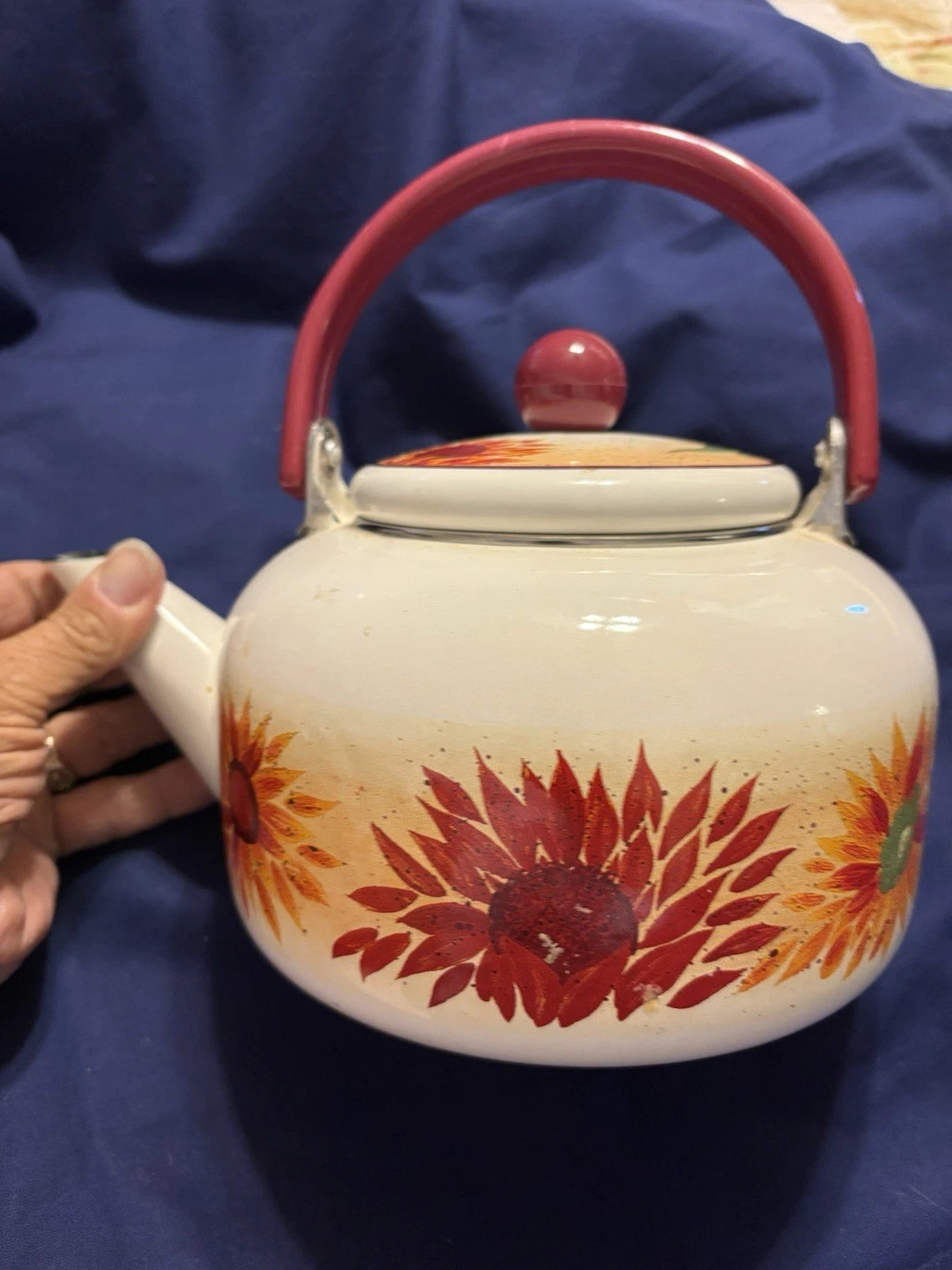 Vintage Enamel 8 Cup Teapot Kettle W/Flower Pattern