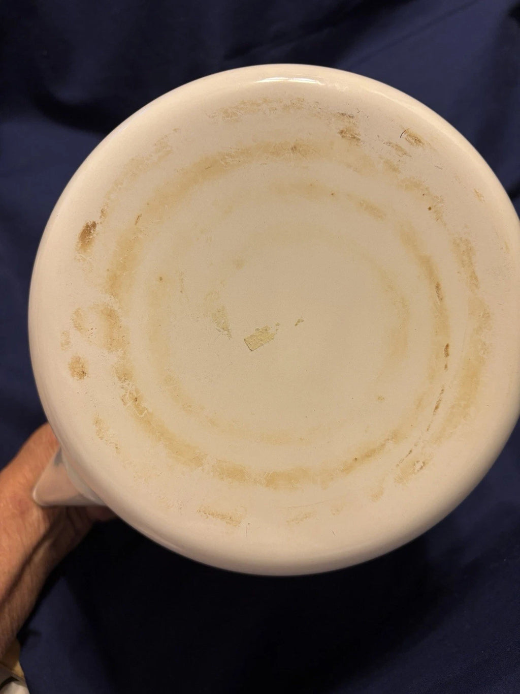 Vintage Enamel 8 Cup Teapot Kettle W/Flower Pattern