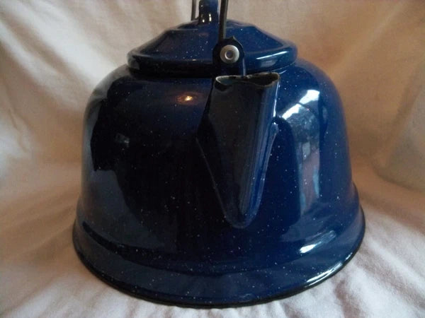 Vtg Blue White Speckled Enamelware Teapot kettle, wire wrap handle, from auction